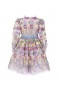 Kids Marchesa Midi Dresses | Flower Embroidered Tulle Gown Multicolor