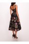 Women Marchesa Dresses | Alex Midi Dress Black Multi