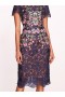 Women Marchesa Dresses | Camellia Midi Dress Navy