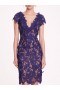 Women Marchesa Dresses | Organic Lace Mini Dress Navy